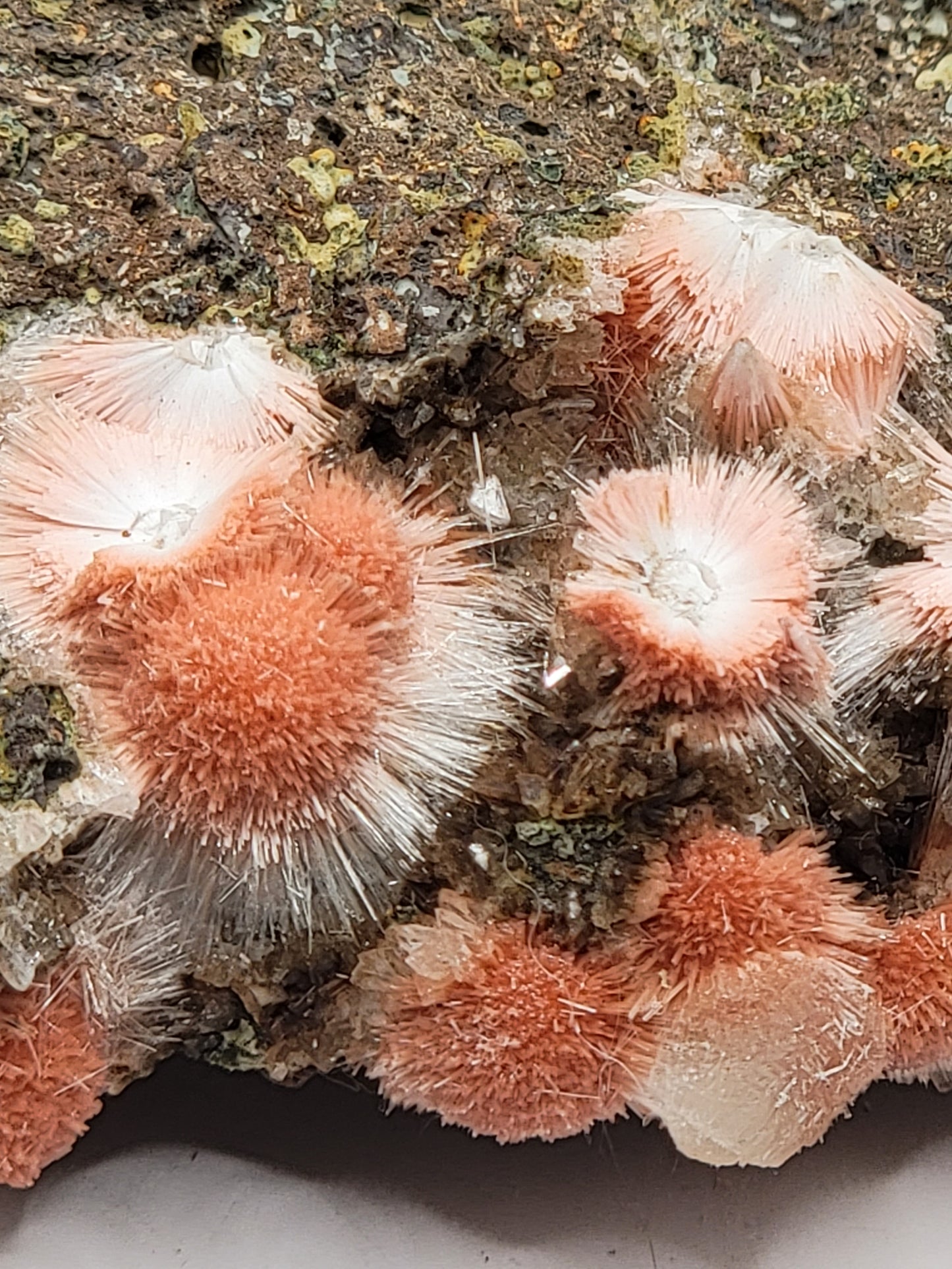 Thomsonite/Mesolite O