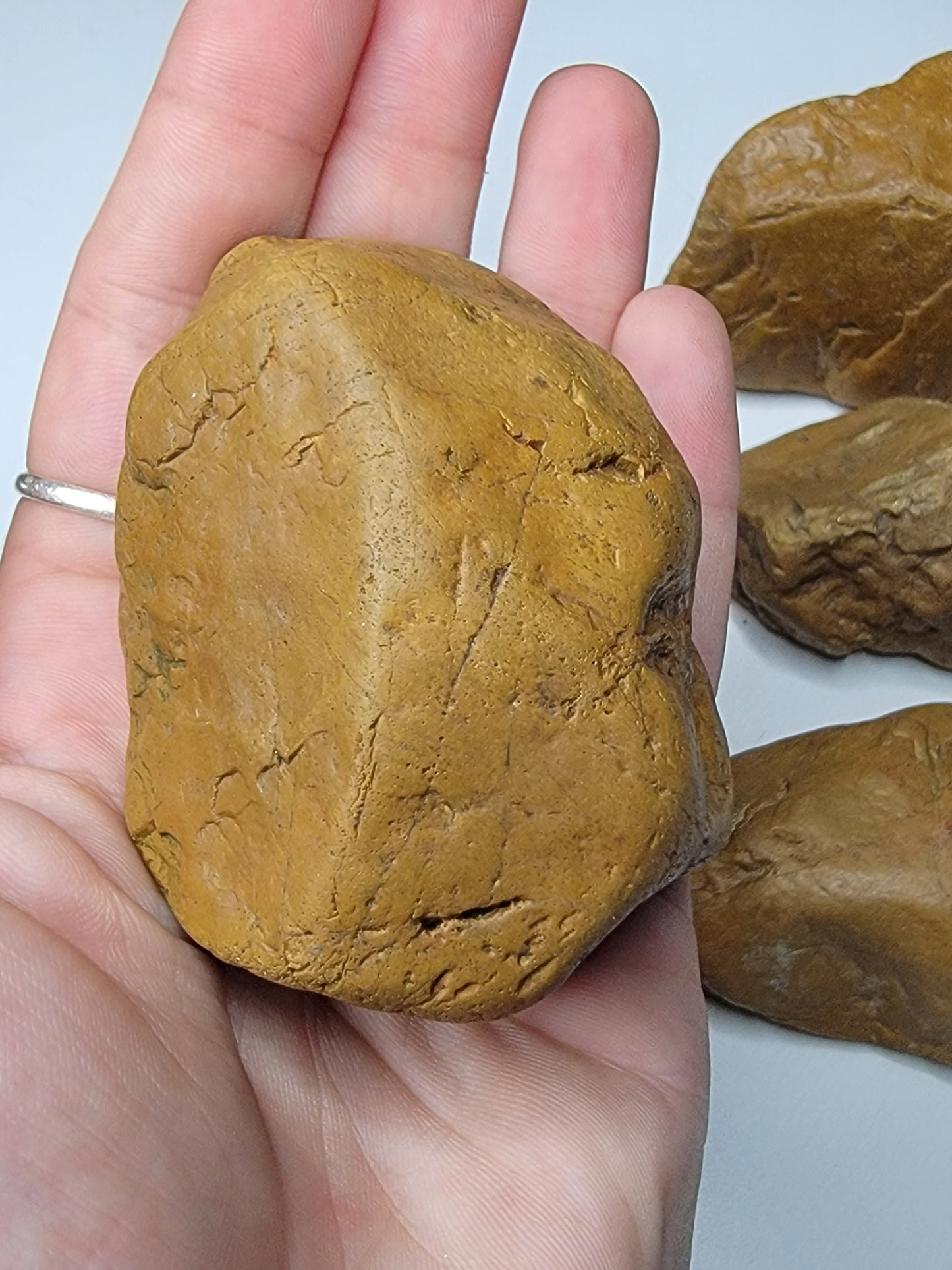 Rough Virginia Jasper