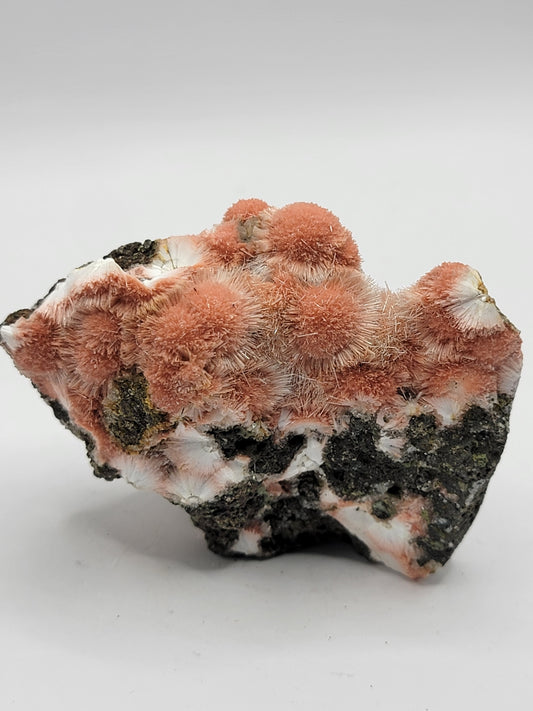 Thomsonite/Mesolite M